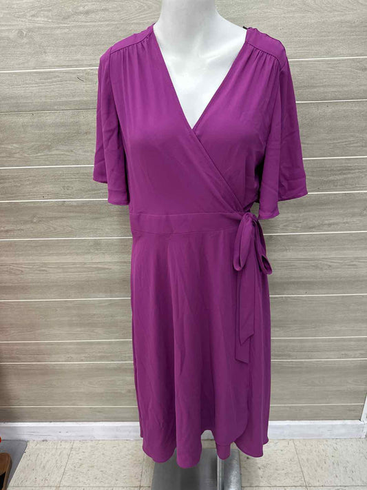 WHBM Size 6 Purple Womens Dress