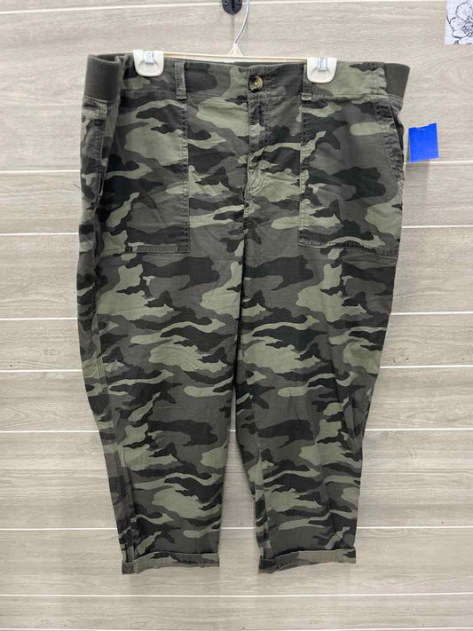 Sonoma Size 18W Olive Plus Pants