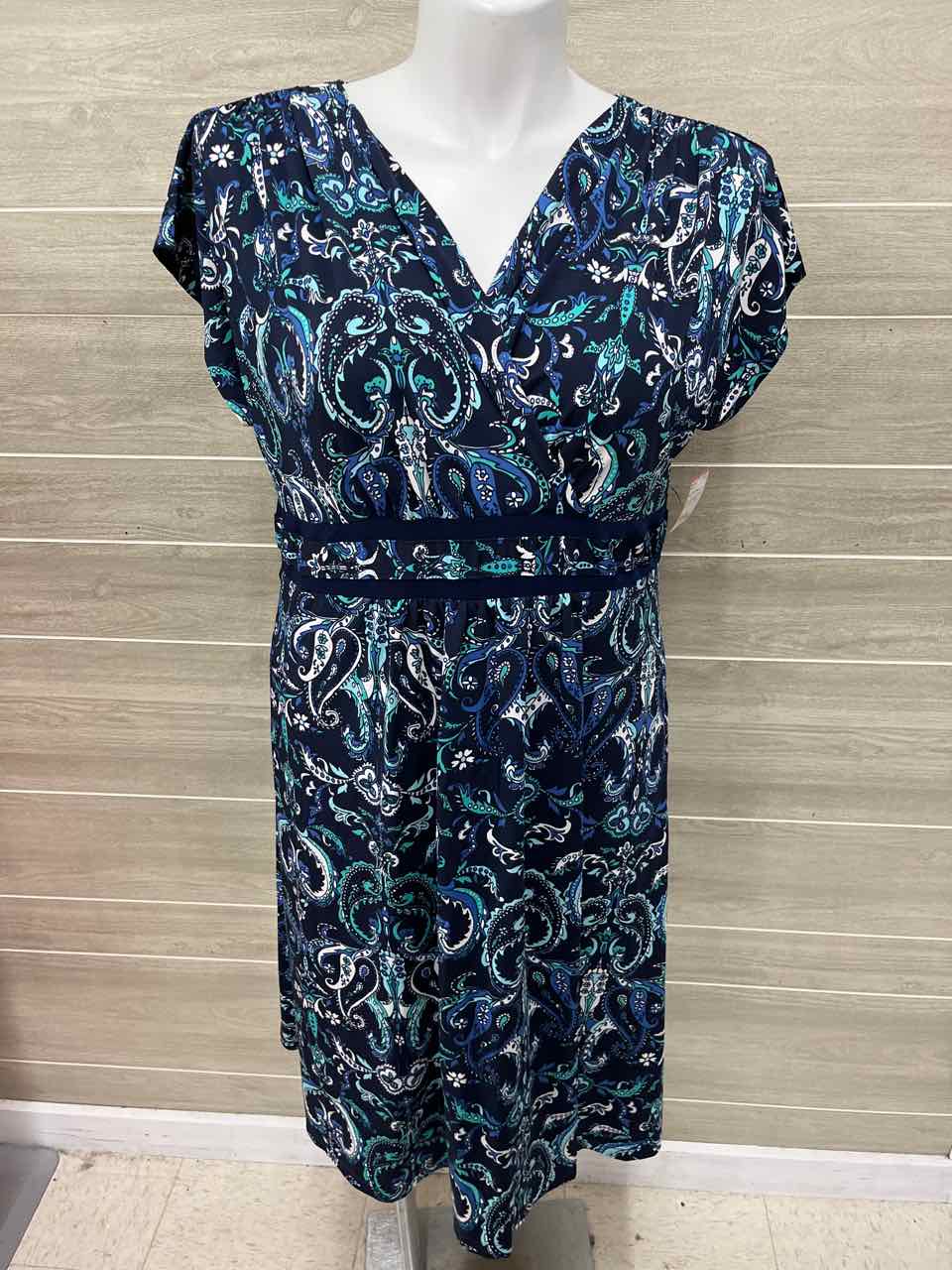 Size 2X Navy Plus Dress