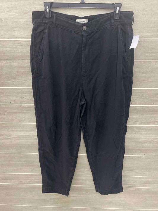 Everlane Black Womens Size 16 Pants