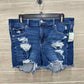 American Eagle Size 12 Blue Womens Shorts