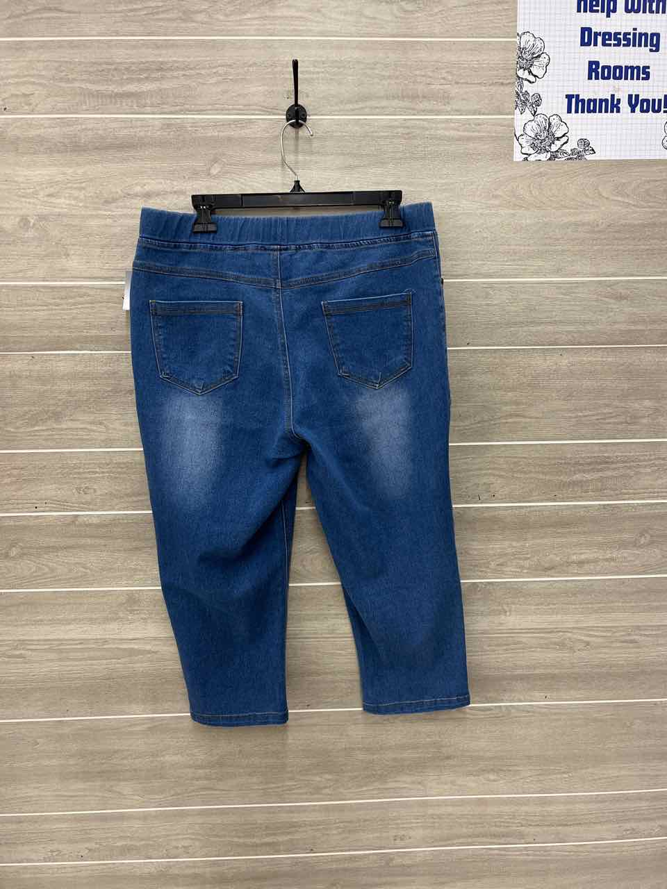 Blue Womens Women Size 14 Jeans