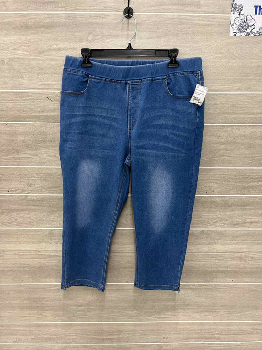 Blue Womens Women Size 14 Jeans