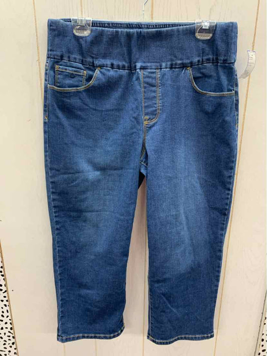 Gloria Vanderbilt Blue Womens Size 12 Jeans