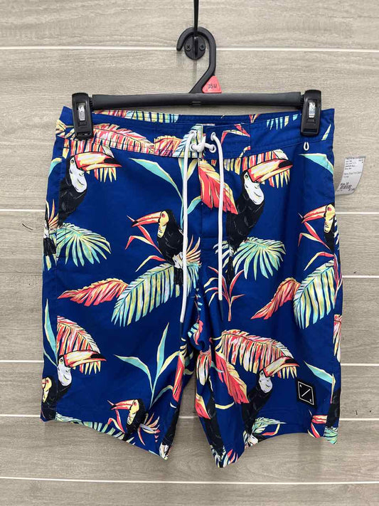 American Eagle Size 30 Men Mens Swim Trunks