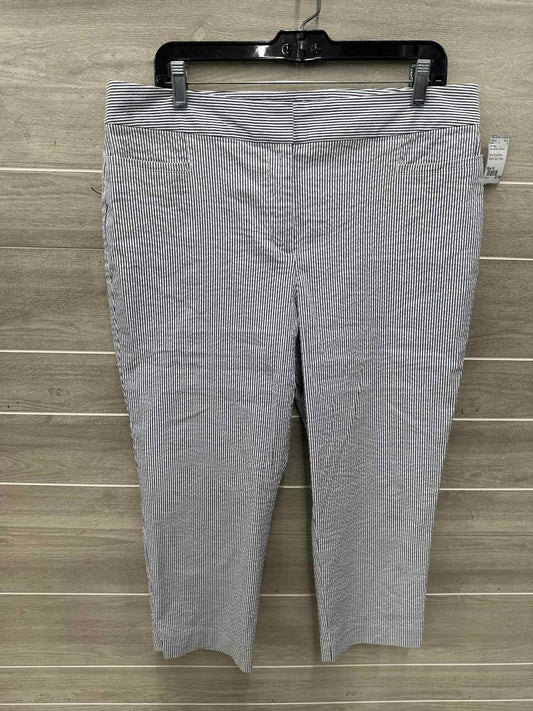 Ann Taylor Size 14 Blue Womens Pants