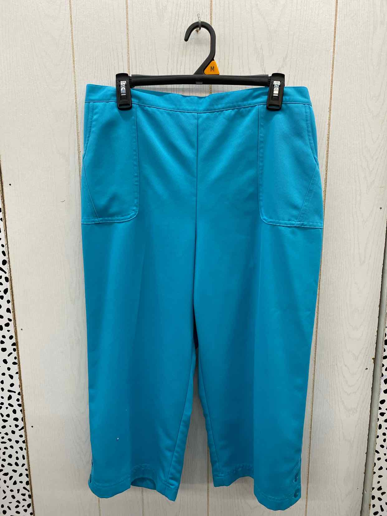 Alfred Dunner Teal Womens Size 16 Pants