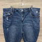 Terra & Sky Size 22W Blue Plus Shorts