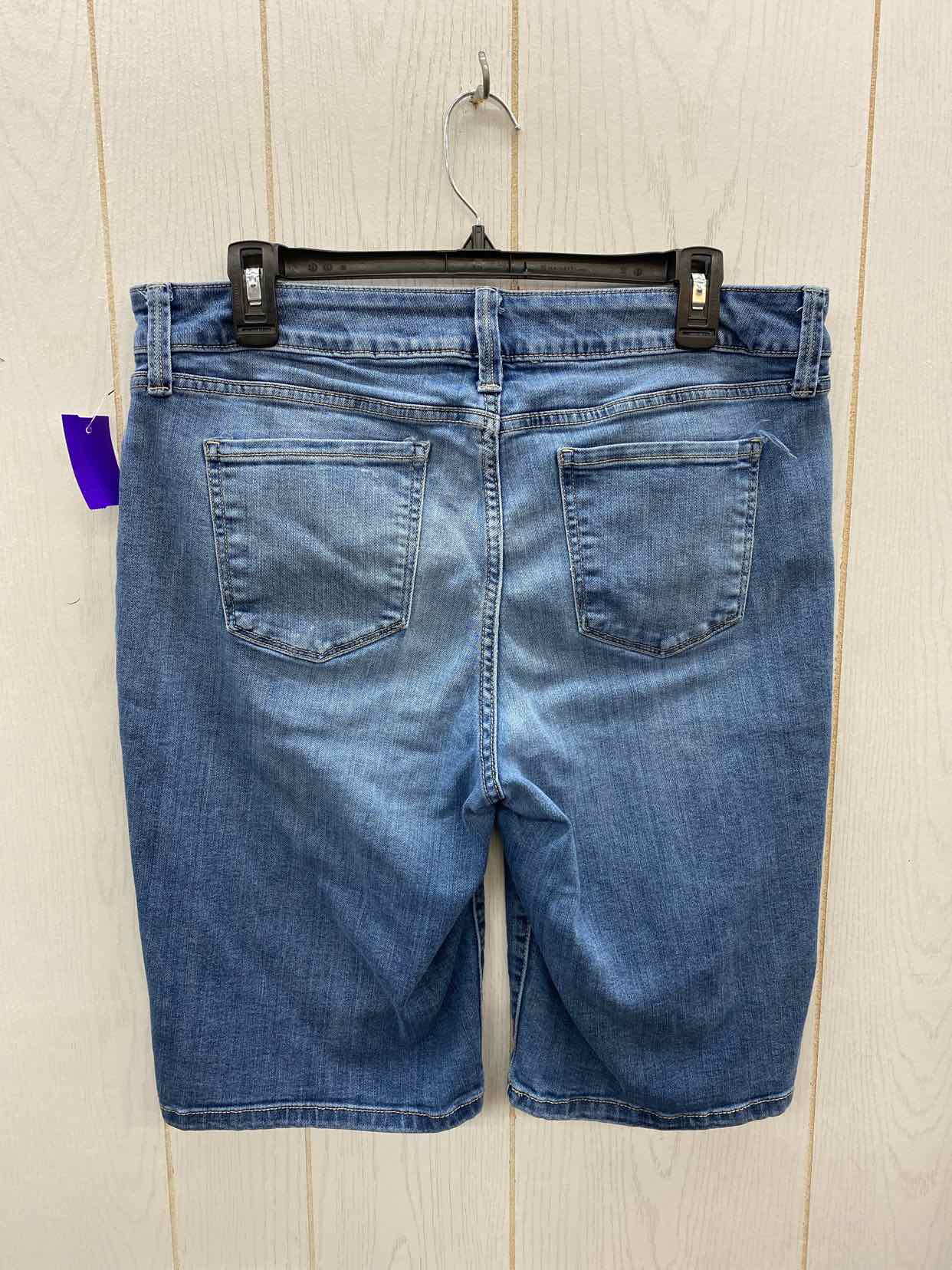 SJB Blue Womens Size 14 Shorts