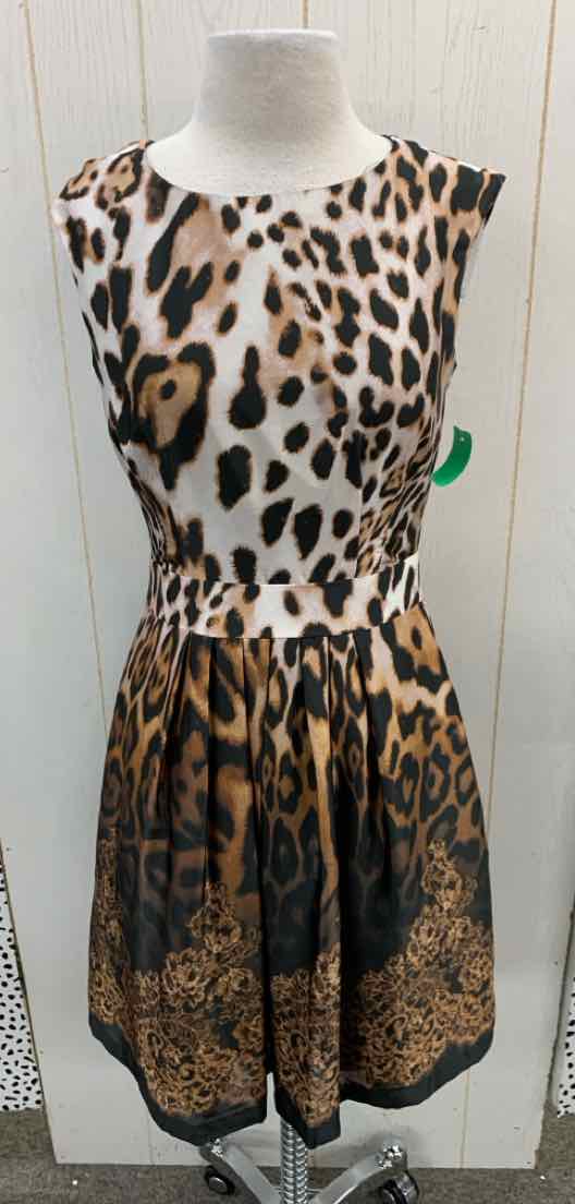 Boston Proper Black Womens Size 6 Dress