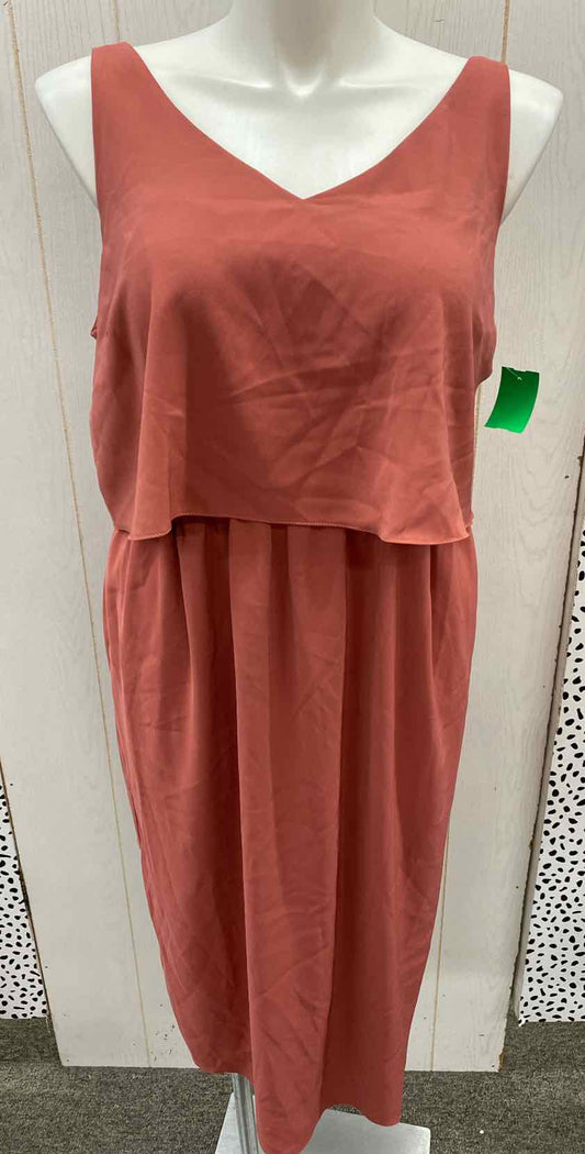 ASOS Pink Womens Size 12 Dress
