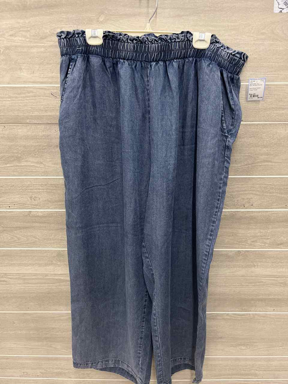 Jane & Delancey Size 2X Blue Womens Pants