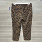 Old Navy Size 6 Brown Womens Pants