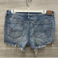 American Eagle Size 14 Blue Womens Shorts
