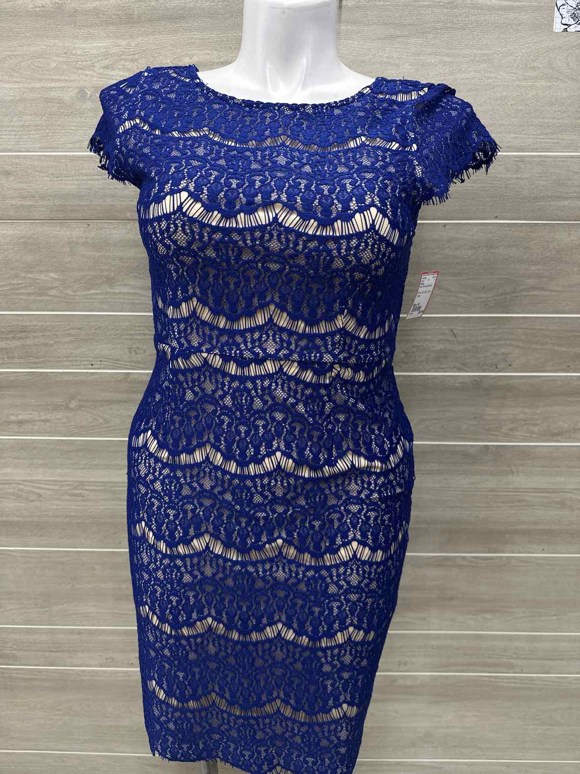 Darling Size 10 Blue Womens Dress