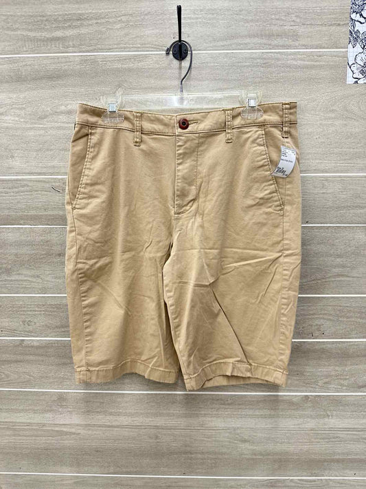 Hollister Size 32 Men Mens Shorts