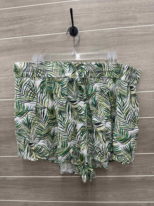 Swimsuits for All Size 18/20W Green Plus Shorts
