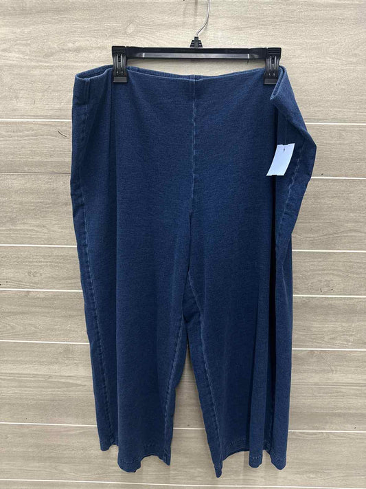 Pure Jill Size 18/20 Blue Plus Jeans