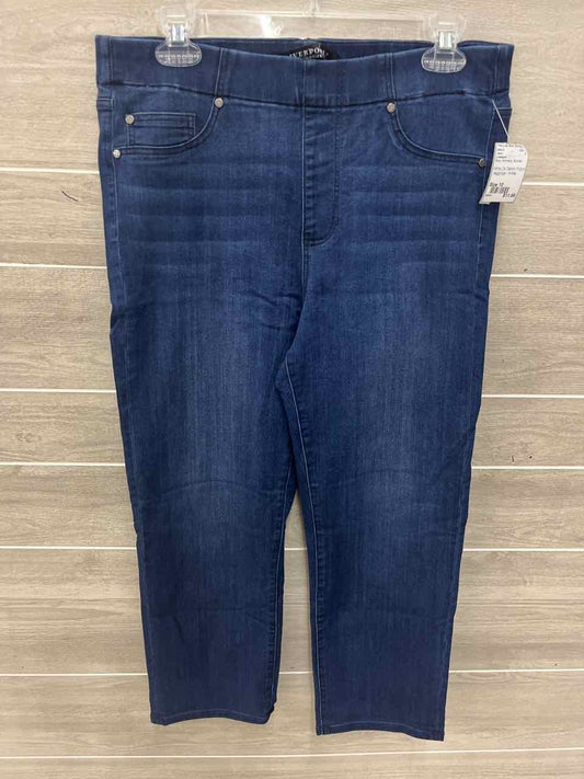 Liverpool Blue Womens Women Size 10 Jeans