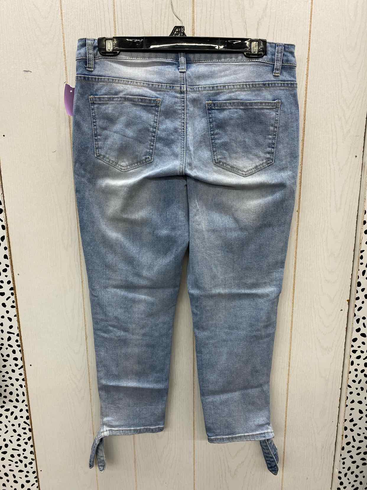 Earl Blue Womens Size 10P Jeans