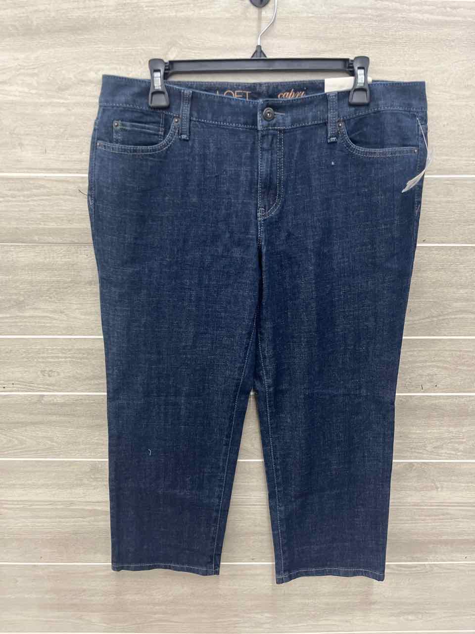 LOFT Size 10/12 Blue Womens Jeans