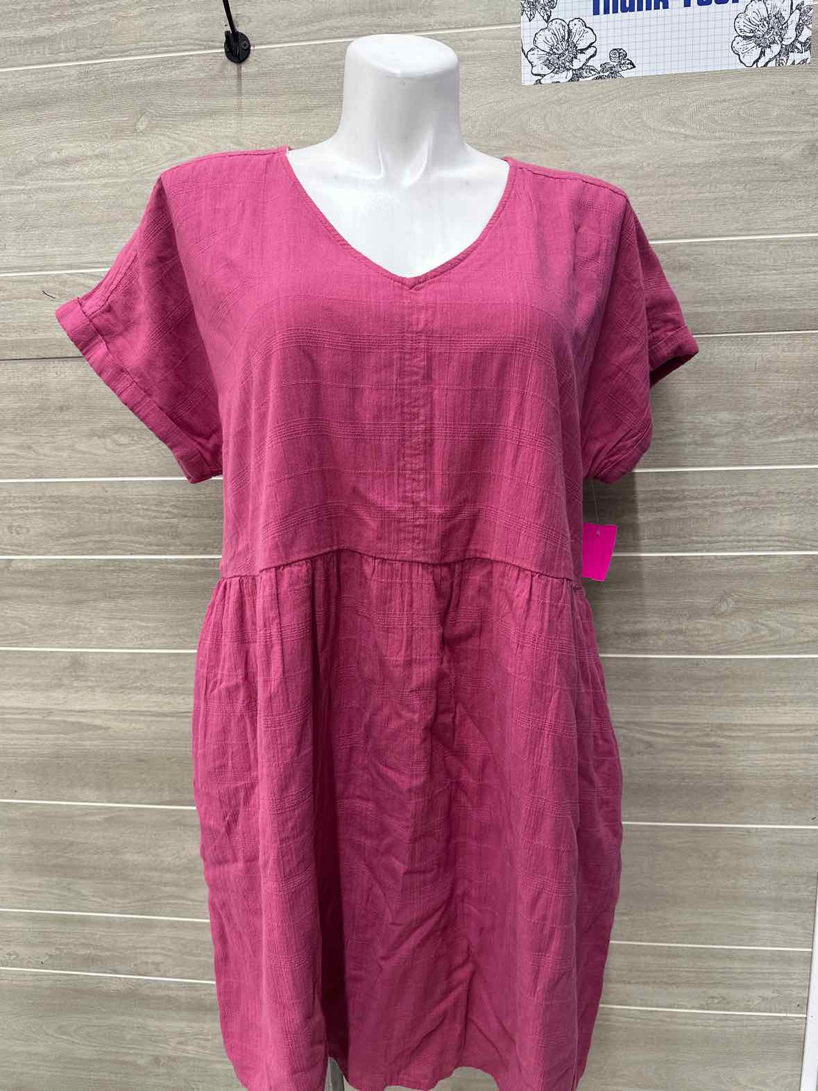Terra & Sky Size 16/18 Pink Womens Dress