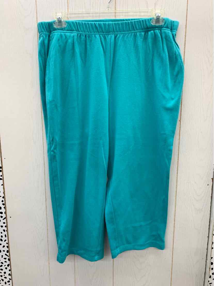 Woman Within Blue Womens Size 18/20W Pants