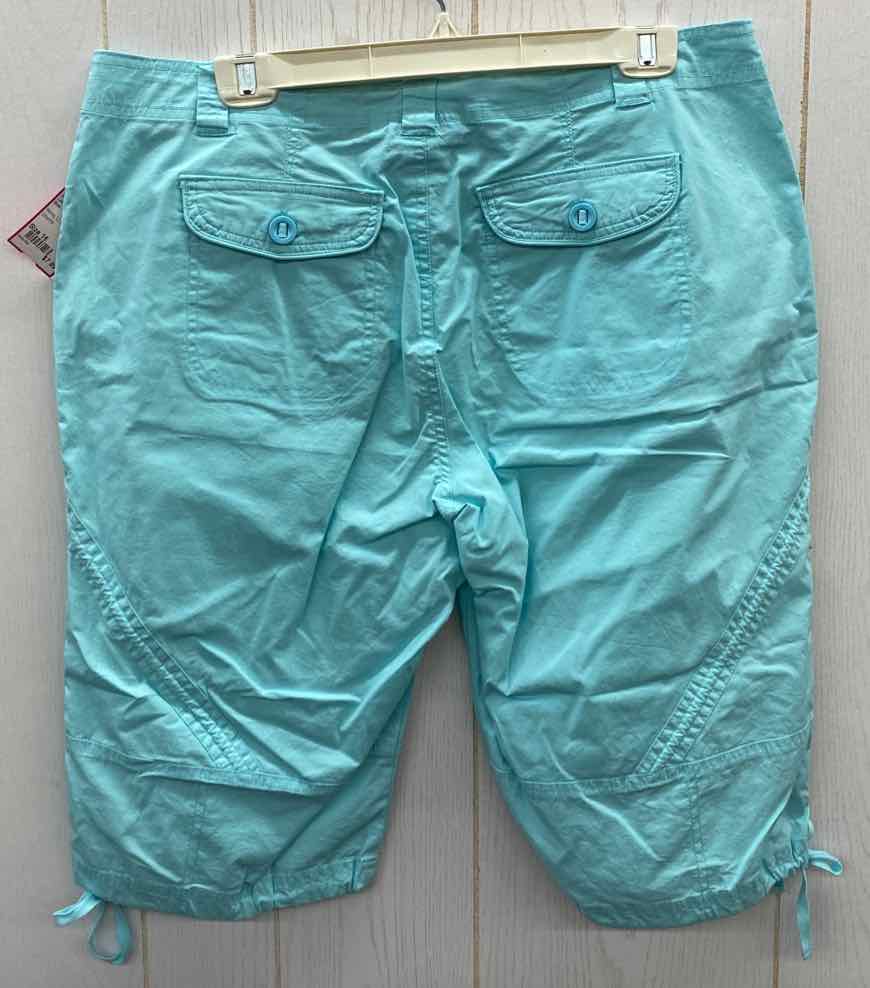 LULU B Blue Womens Size 16 Shorts – Twice As Nice Consignments