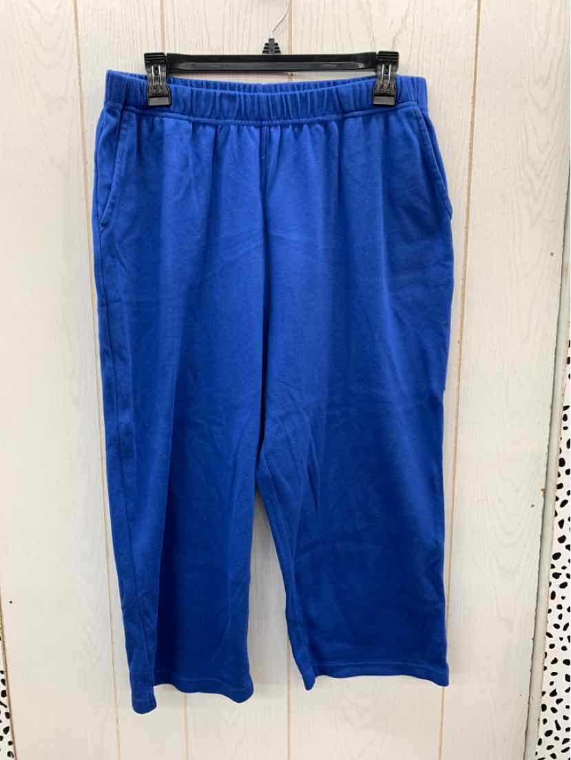 Woman Within Blue Womens Size 18/20W Pants