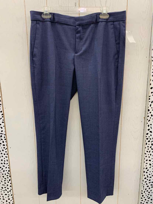 Banana Republic Blue Womens Size 10 Pants