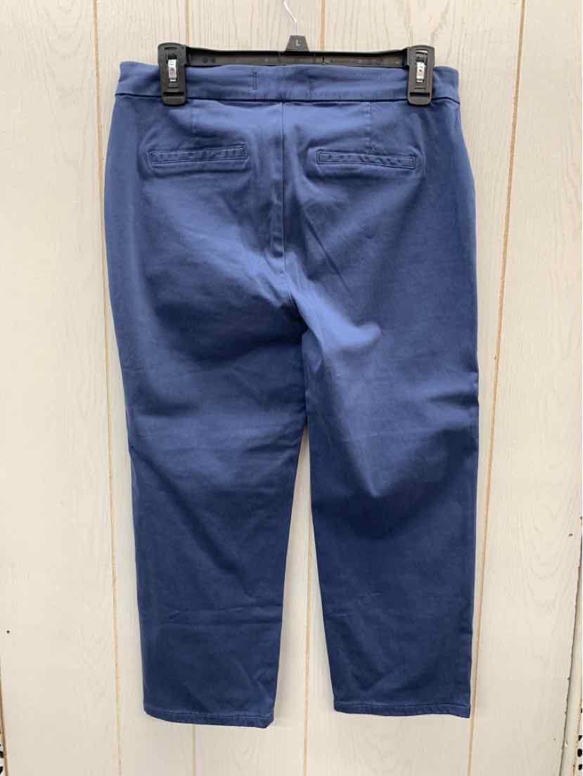 Lila Ryan Blue Womens Size 6 Pants