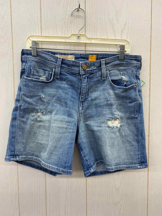 Pilco & the Letterpress Blue Womens Size 4 Shorts