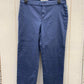 Lila Ryan Blue Womens Size 6 Pants