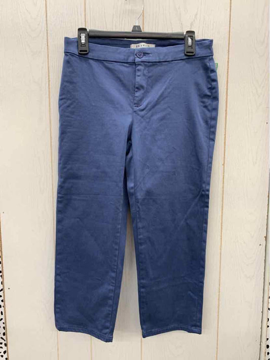 Lila Ryan Blue Womens Size 6 Pants