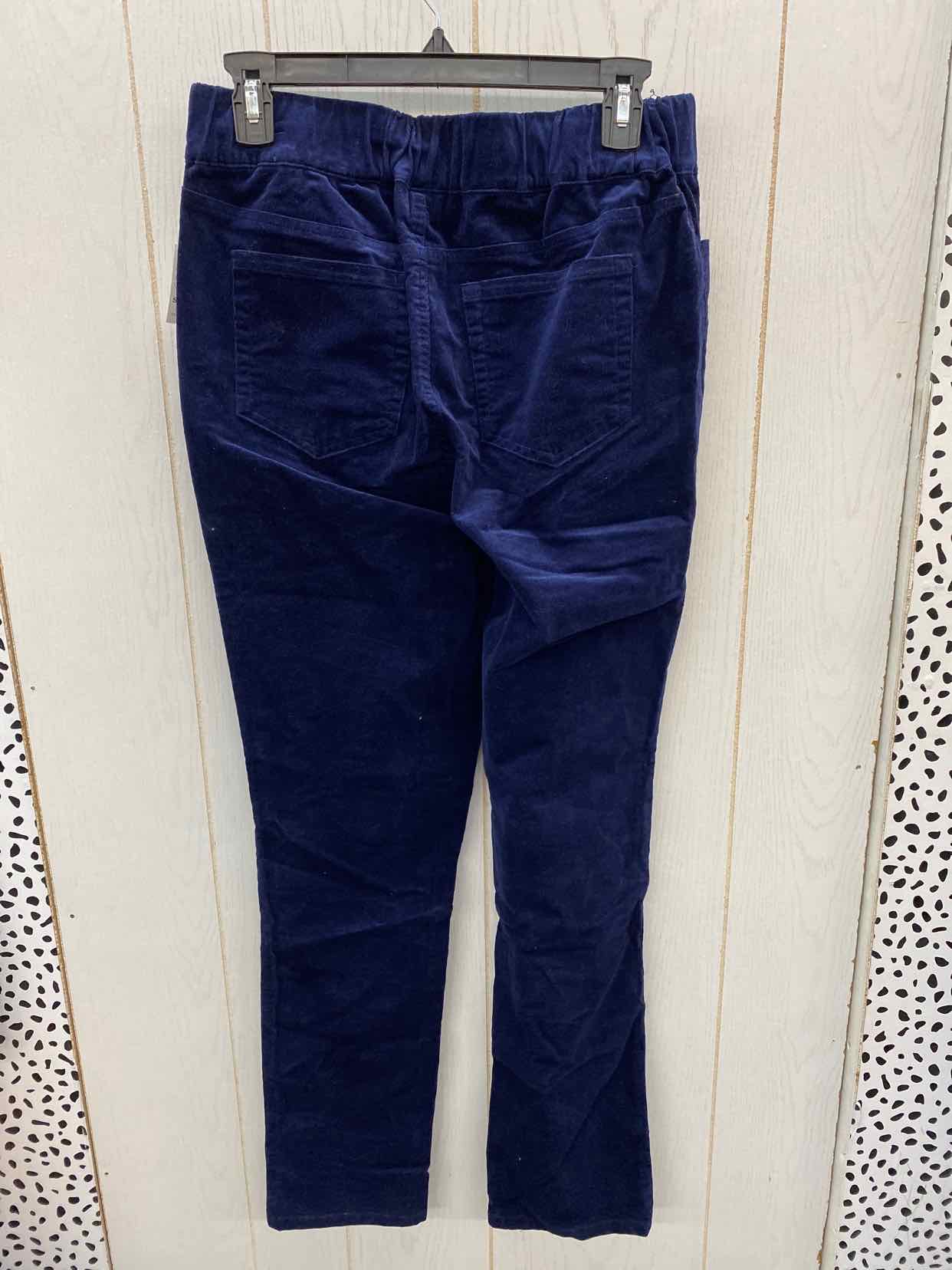 D & Co Blue Womens Size 6 Pants