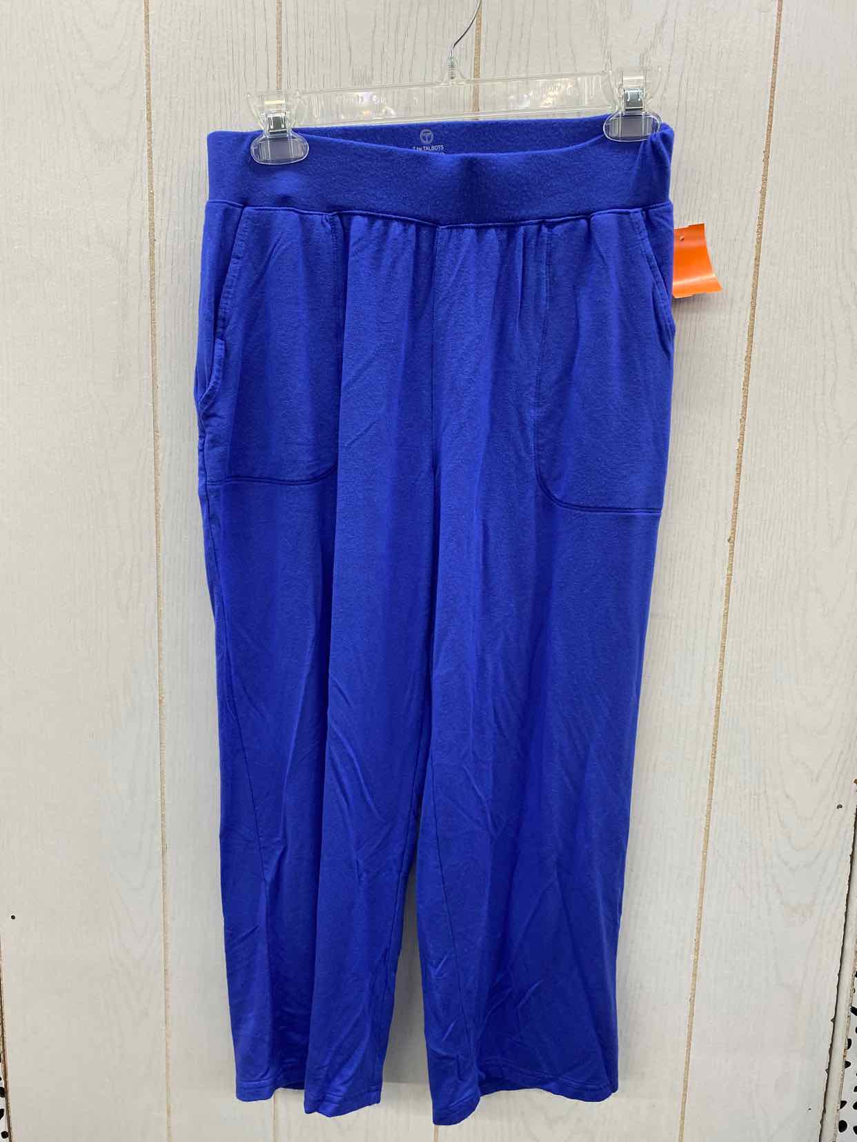 Talbots Blue Womens Size 4/6 Pants