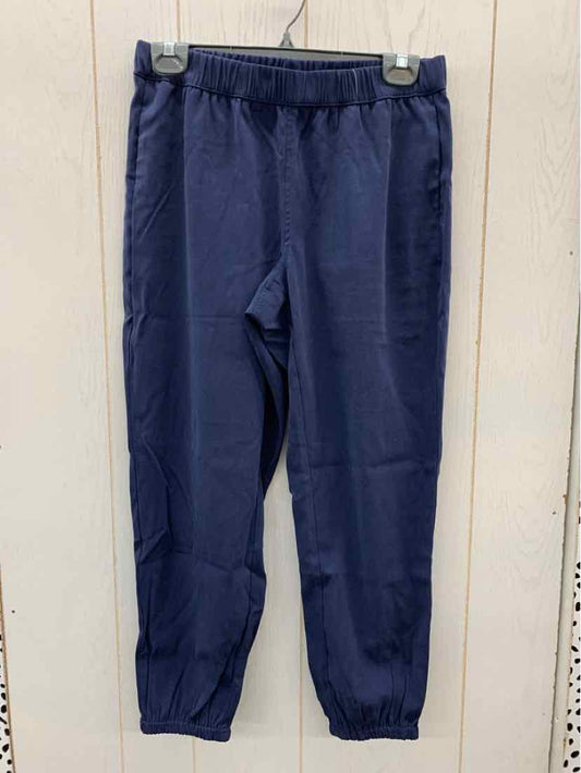 Navy Womens Size 6P Pants