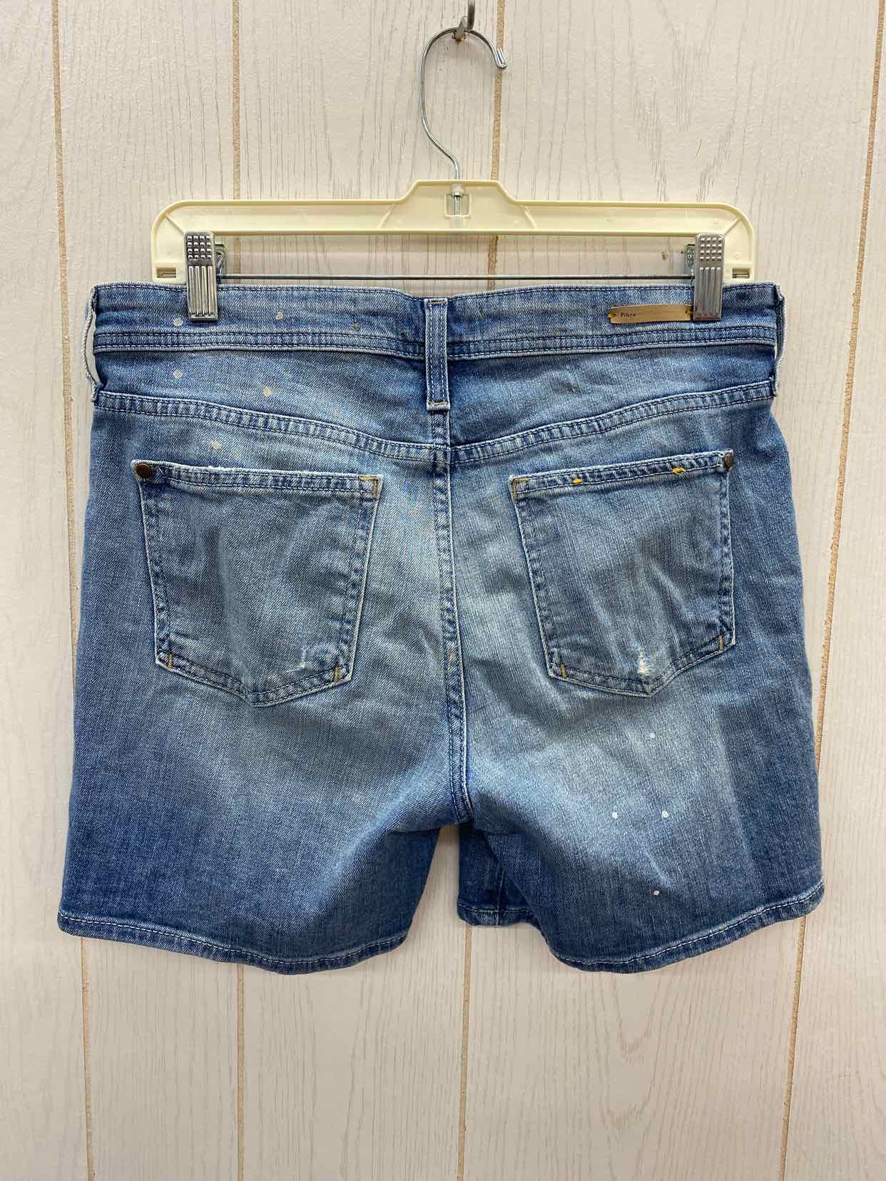 Pilco & the Letterpress Blue Womens Size 4 Shorts