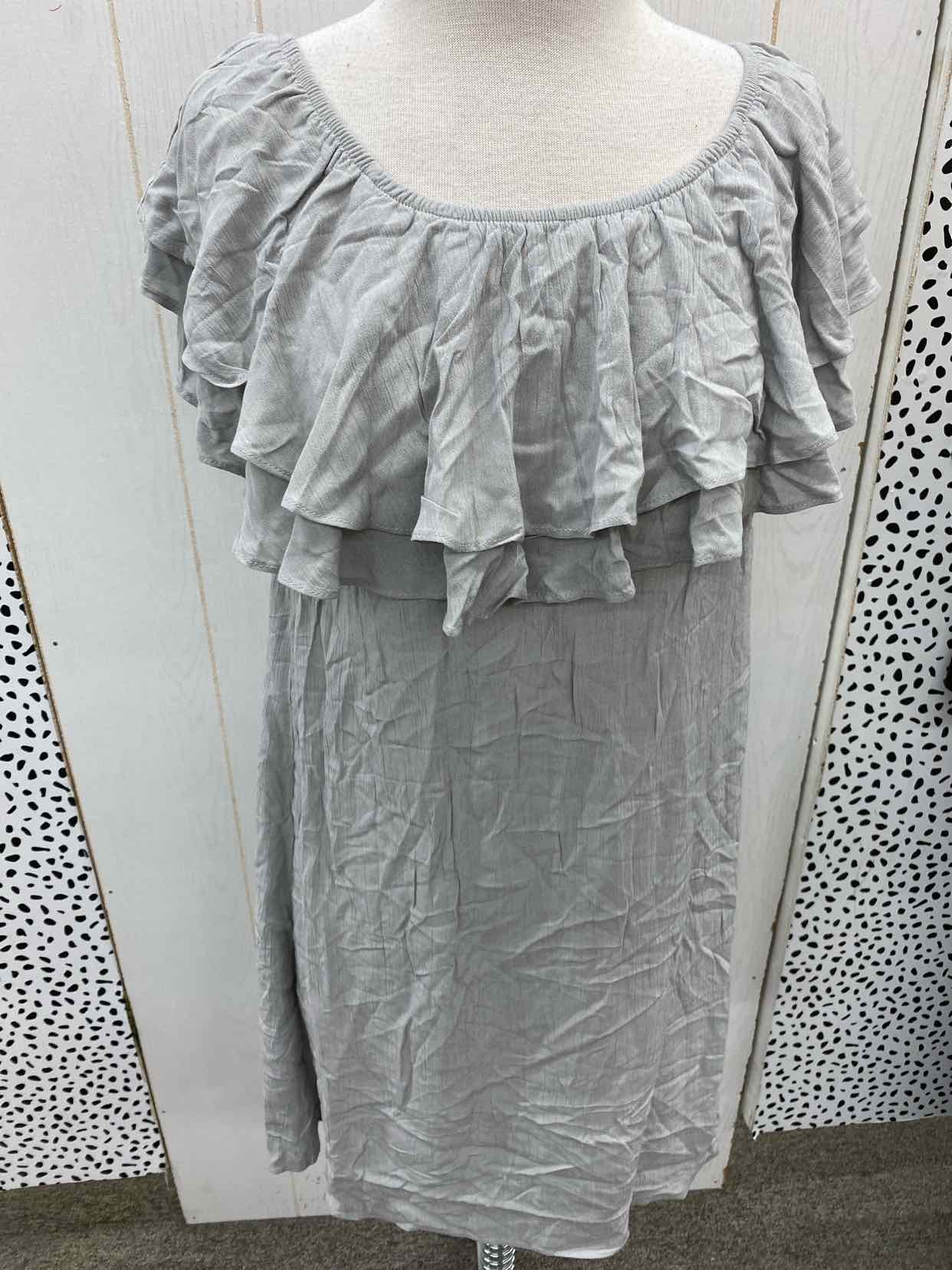 Gray Womens Size 6 Dress