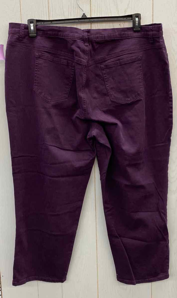 Gloria Vanderbilt Purple Womens Size 24W Pants