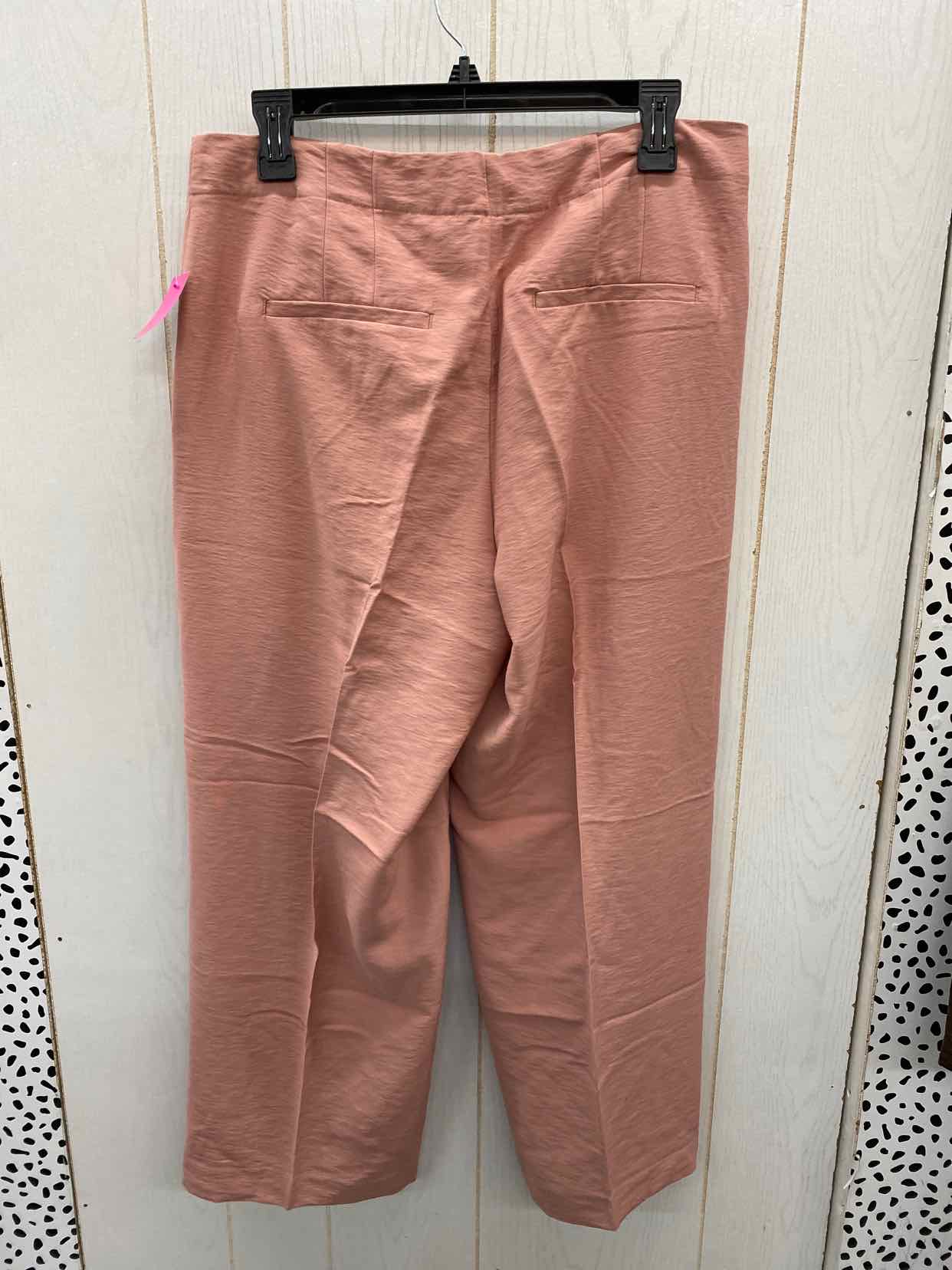 LOFT Pink Womens Size 6 Pants