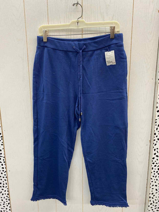 D & Co Blue Womens Size 8 Pants