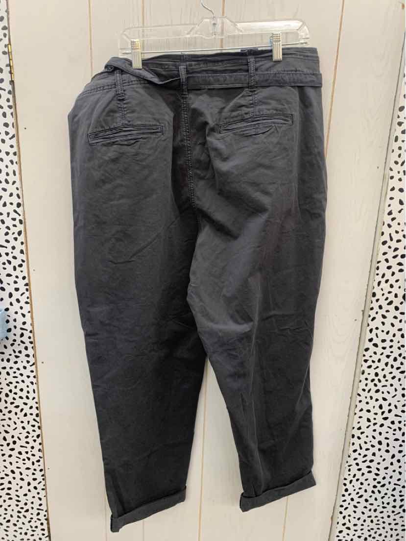 American Eagle Gray Womens Size 20 Long Pants