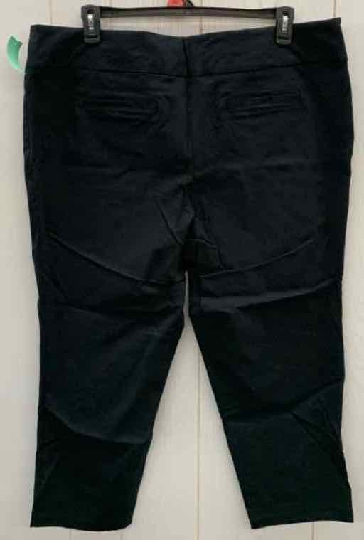 Black Womens Size 24W Pants