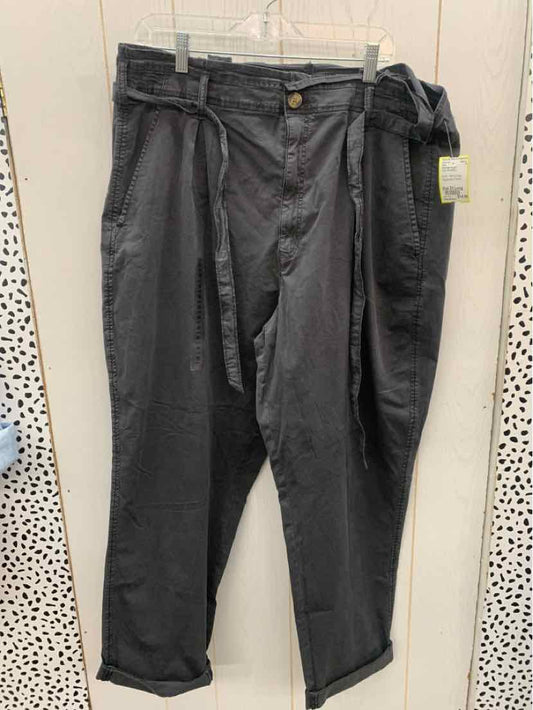 American Eagle Gray Womens Size 20 Long Pants