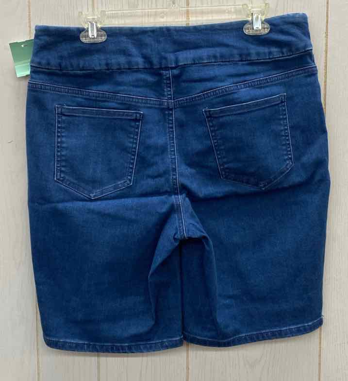 Chico's Blue Womens Size 10/12 Shorts